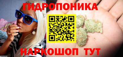 эйфоретик Красноармейск
